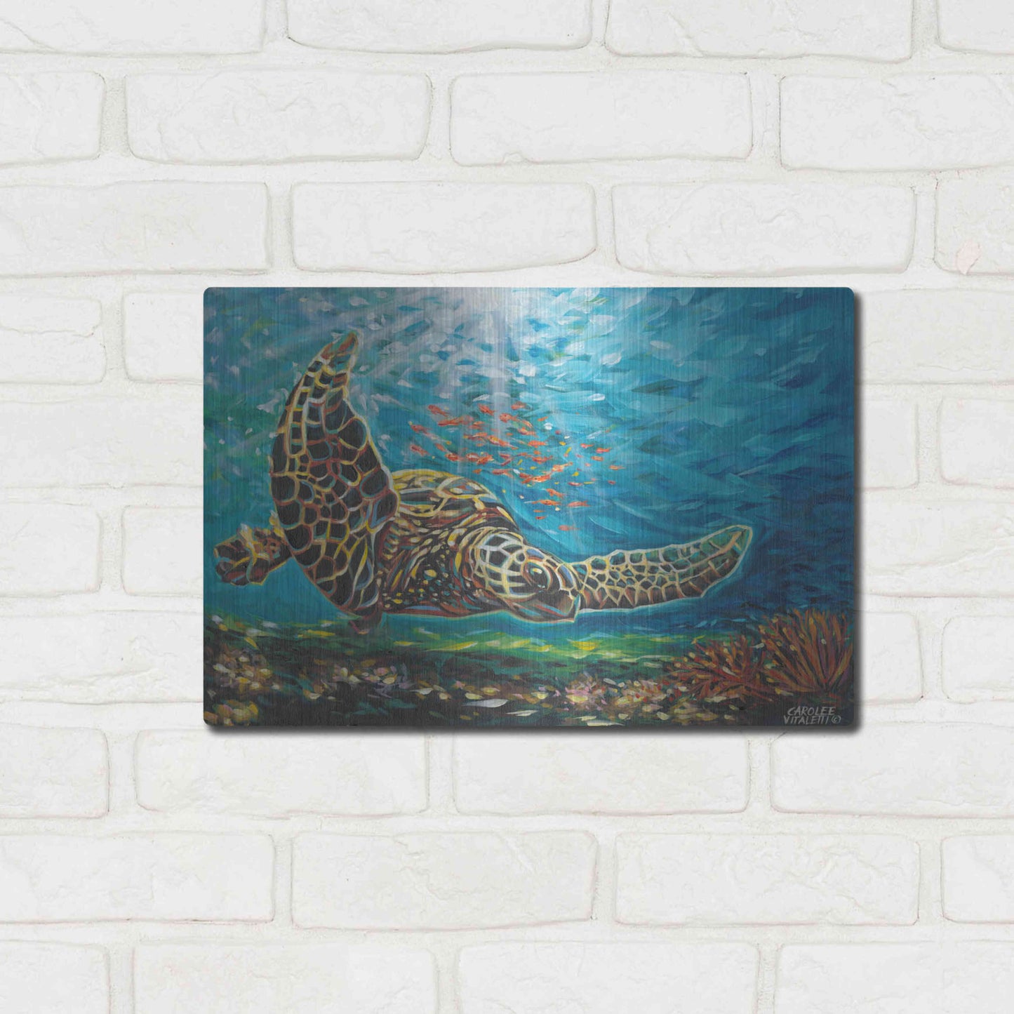 Luxe Metal Art 'Deep Sea Swimming I' by Carolee Vitaletti Metal Wall Art,16x12