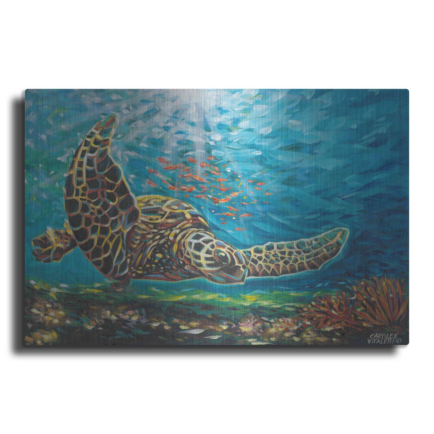 Luxe Metal Art 'Deep Sea Swimming I' by Carolee Vitaletti Metal Wall Art