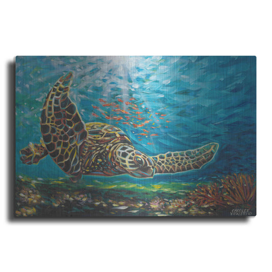 Luxe Metal Art 'Deep Sea Swimming I' by Carolee Vitaletti Metal Wall Art