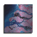 Luxe Metal Art 'Earth As Art: Delta Region' Metal Wall Art
