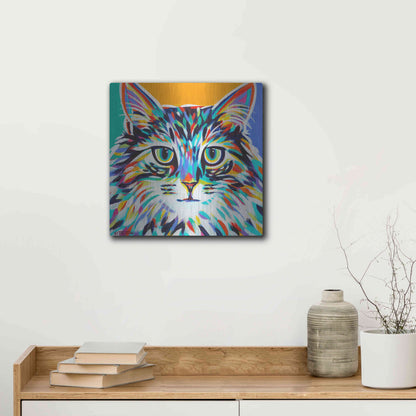 Luxe Metal Art 'Dramatic Cats I' by Carolee Vitaletti Metal Wall Art,12x12