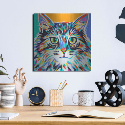 Luxe Metal Art 'Dramatic Cats I' by Carolee Vitaletti Metal Wall Art,12x12