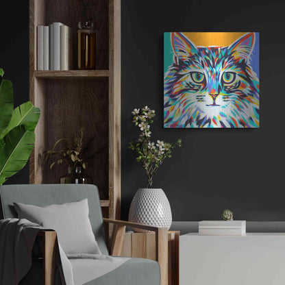 Luxe Metal Art 'Dramatic Cats I' by Carolee Vitaletti Metal Wall Art,24x24