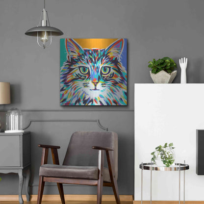 Luxe Metal Art 'Dramatic Cats I' by Carolee Vitaletti Metal Wall Art,24x24