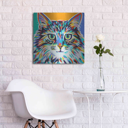 Luxe Metal Art 'Dramatic Cats I' by Carolee Vitaletti Metal Wall Art,24x24