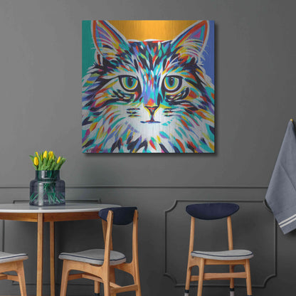 Luxe Metal Art 'Dramatic Cats I' by Carolee Vitaletti Metal Wall Art,36x36