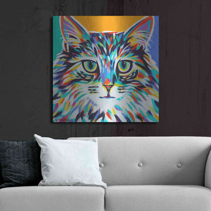 Luxe Metal Art 'Dramatic Cats I' by Carolee Vitaletti Metal Wall Art,36x36