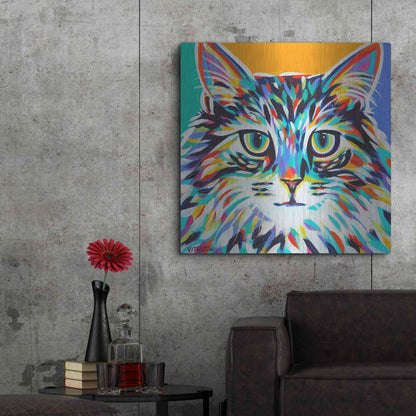 Luxe Metal Art 'Dramatic Cats I' by Carolee Vitaletti Metal Wall Art,36x36