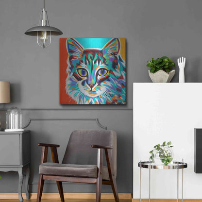 Luxe Metal Art 'Dramatic Cats II' by Carolee Vitaletti Metal Wall Art,24x24