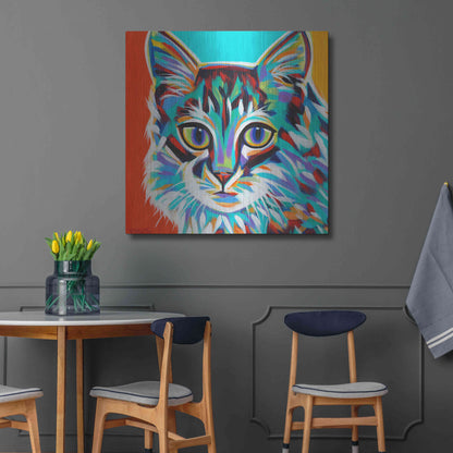 Luxe Metal Art 'Dramatic Cats II' by Carolee Vitaletti Metal Wall Art,36x36