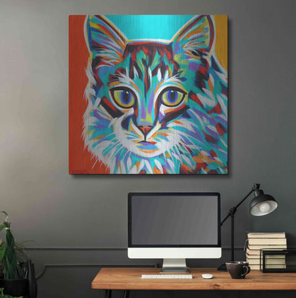 Luxe Metal Art 'Dramatic Cats II' by Carolee Vitaletti Metal Wall Art,36x36