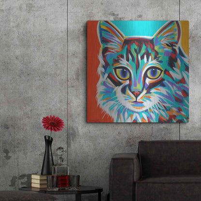 Luxe Metal Art 'Dramatic Cats II' by Carolee Vitaletti Metal Wall Art,36x36