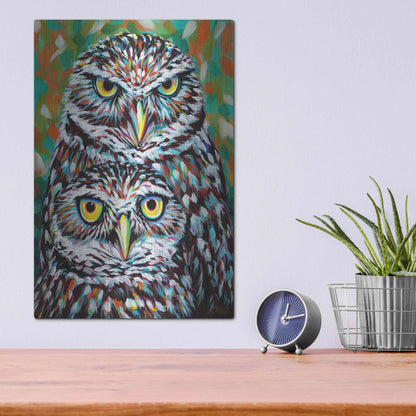 Luxe Metal Art 'Furry Feather Friends I' by Carolee Vitaletti Metal Wall Art,12x16