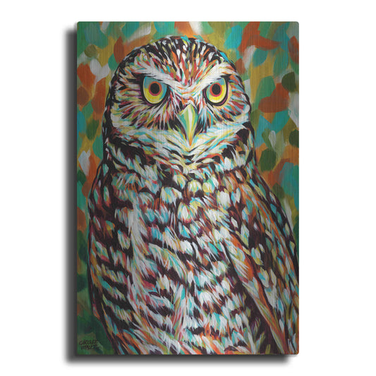 Luxe Metal Art 'Furry Feather Friends II' by Carolee Vitaletti Metal Wall Art