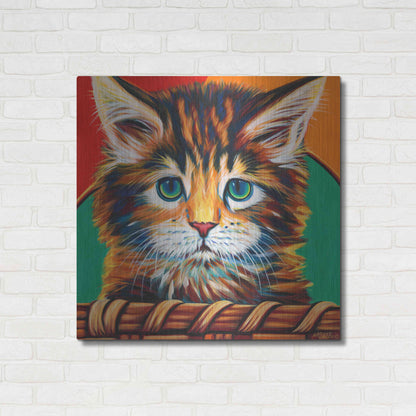 Luxe Metal Art 'Kitten in Basket I' by Carolee Vitaletti Metal Wall Art,36x36