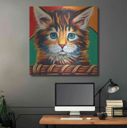 Luxe Metal Art 'Kitten in Basket I' by Carolee Vitaletti Metal Wall Art,36x36