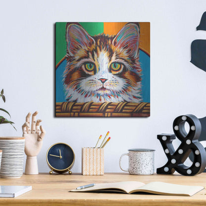 Luxe Metal Art 'Kitten in Basket II' by Carolee Vitaletti Metal Wall Art,12x12