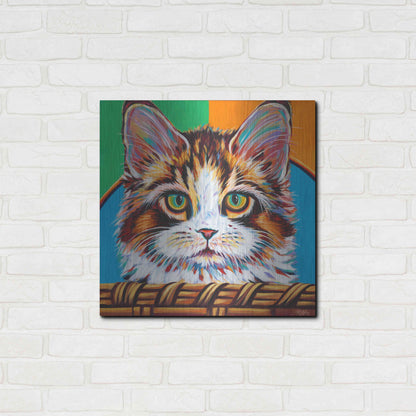 Luxe Metal Art 'Kitten in Basket II' by Carolee Vitaletti Metal Wall Art,24x24
