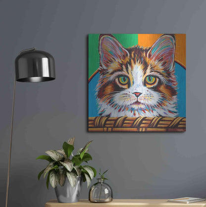 Luxe Metal Art 'Kitten in Basket II' by Carolee Vitaletti Metal Wall Art,24x24
