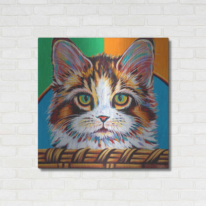 Luxe Metal Art 'Kitten in Basket II' by Carolee Vitaletti Metal Wall Art,36x36