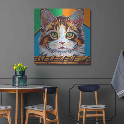 Luxe Metal Art 'Kitten in Basket II' by Carolee Vitaletti Metal Wall Art,36x36