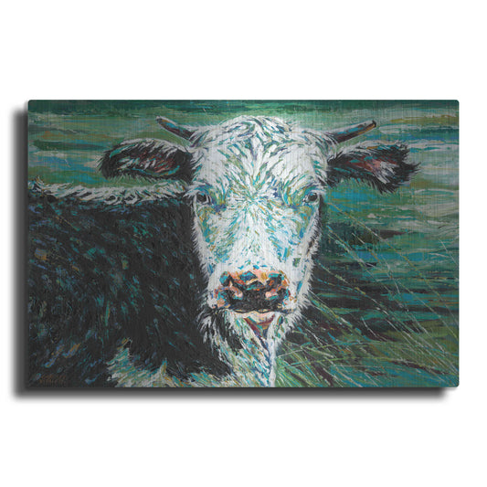 Luxe Metal Art 'Marshland Cow I' by Carolee Vitaletti Metal Wall Art