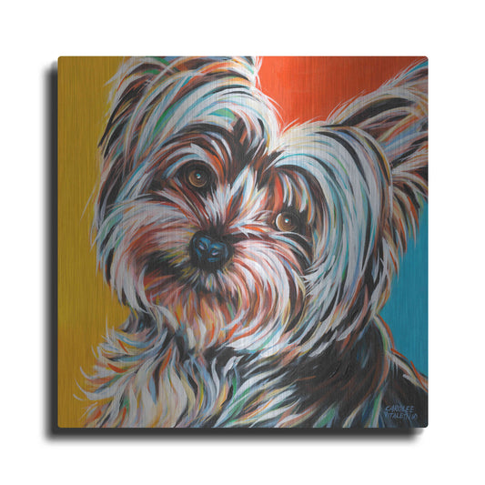 Luxe Metal Art 'Sweet Yorkie II' by Carolee Vitaletti Metal Wall Art