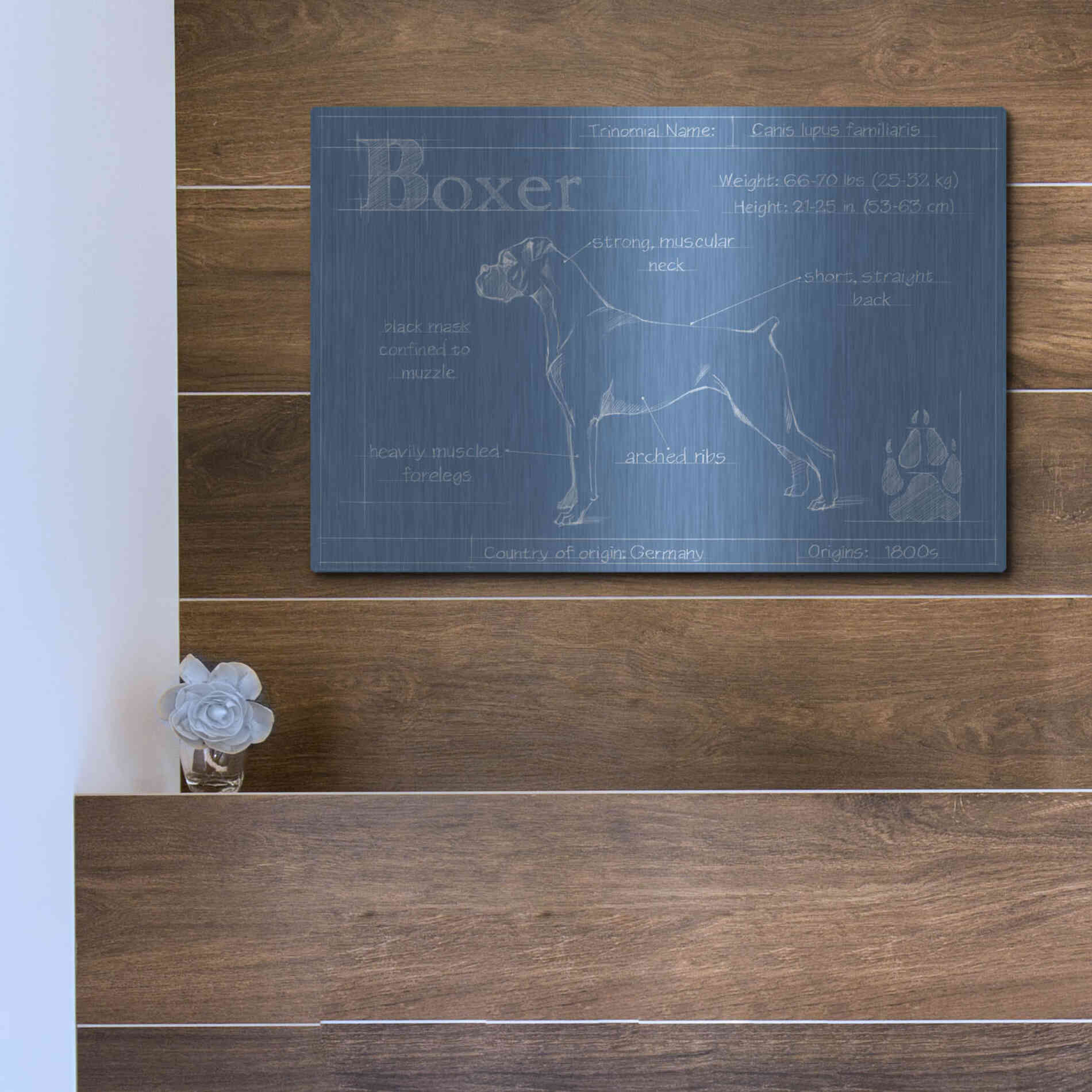 Luxe Metal Art 'Blueprint Boxer' by Ethan Harper Metal Wall Art,16x12