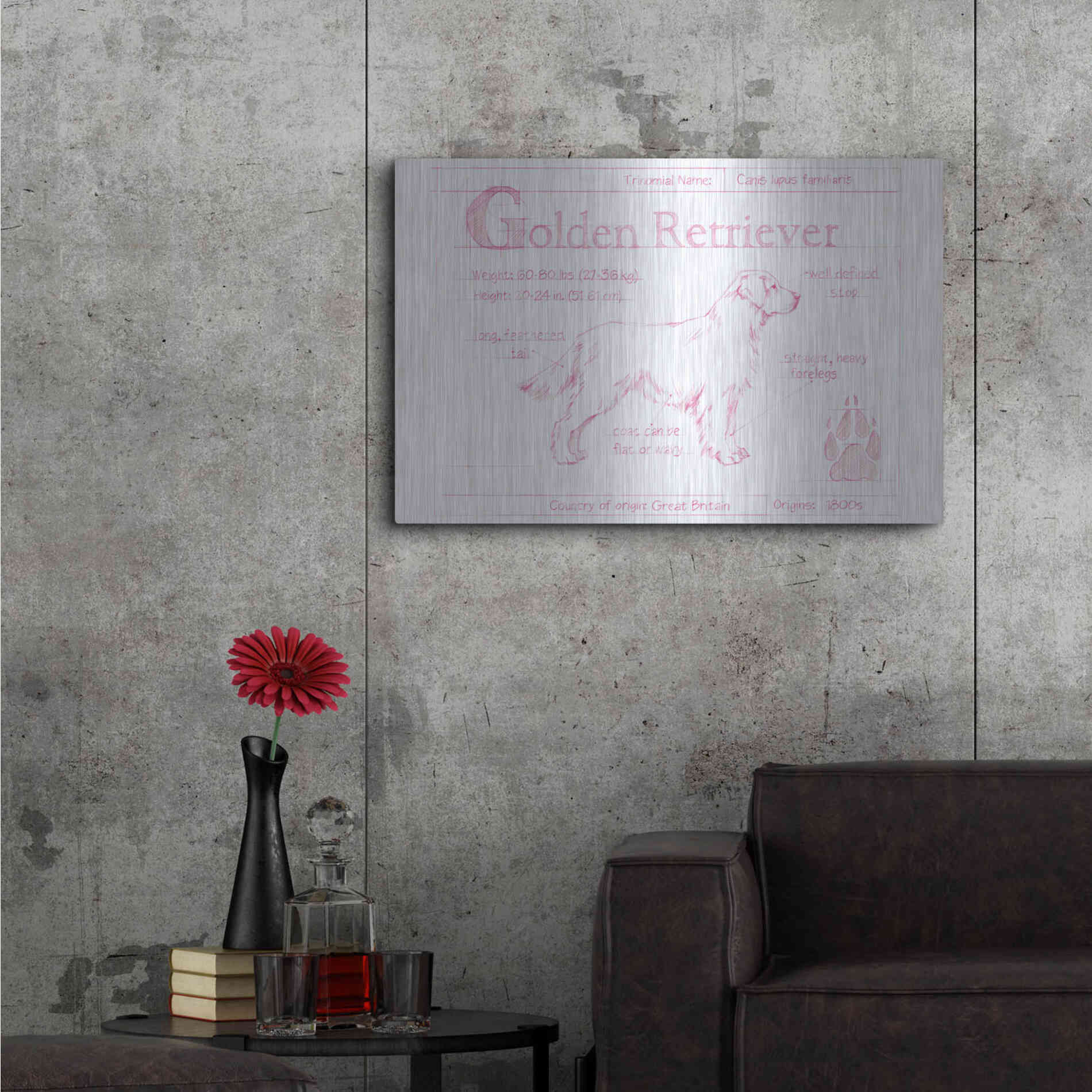 Luxe Metal Art 'Blueprint Golden Retriever in Pink' by Ethan Harper Metal Wall Art,36x24