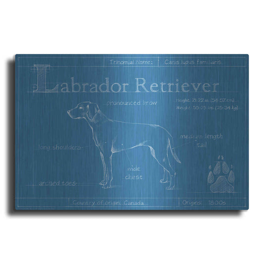 Luxe Metal Art 'Blueprint Labrador Retriever' by Ethan Harper Metal Wall Art