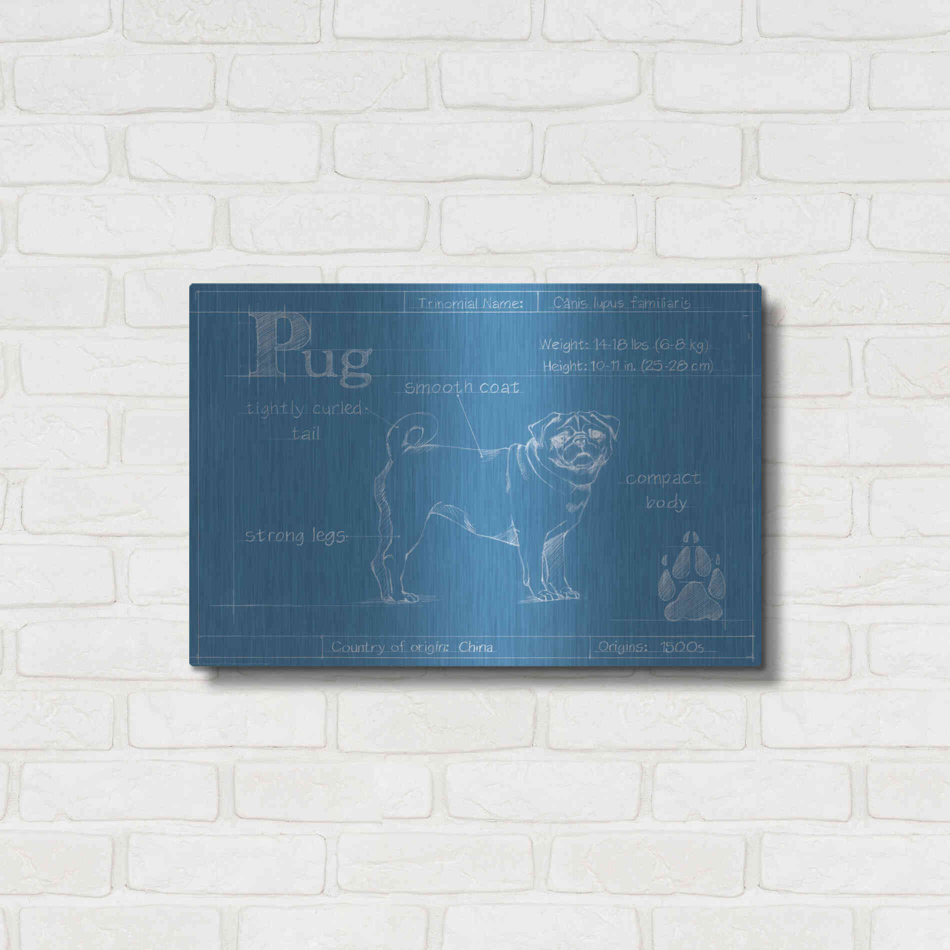 Luxe Metal Art 'Blueprint Pug' by Ethan Harper Metal Wall Art,24x16