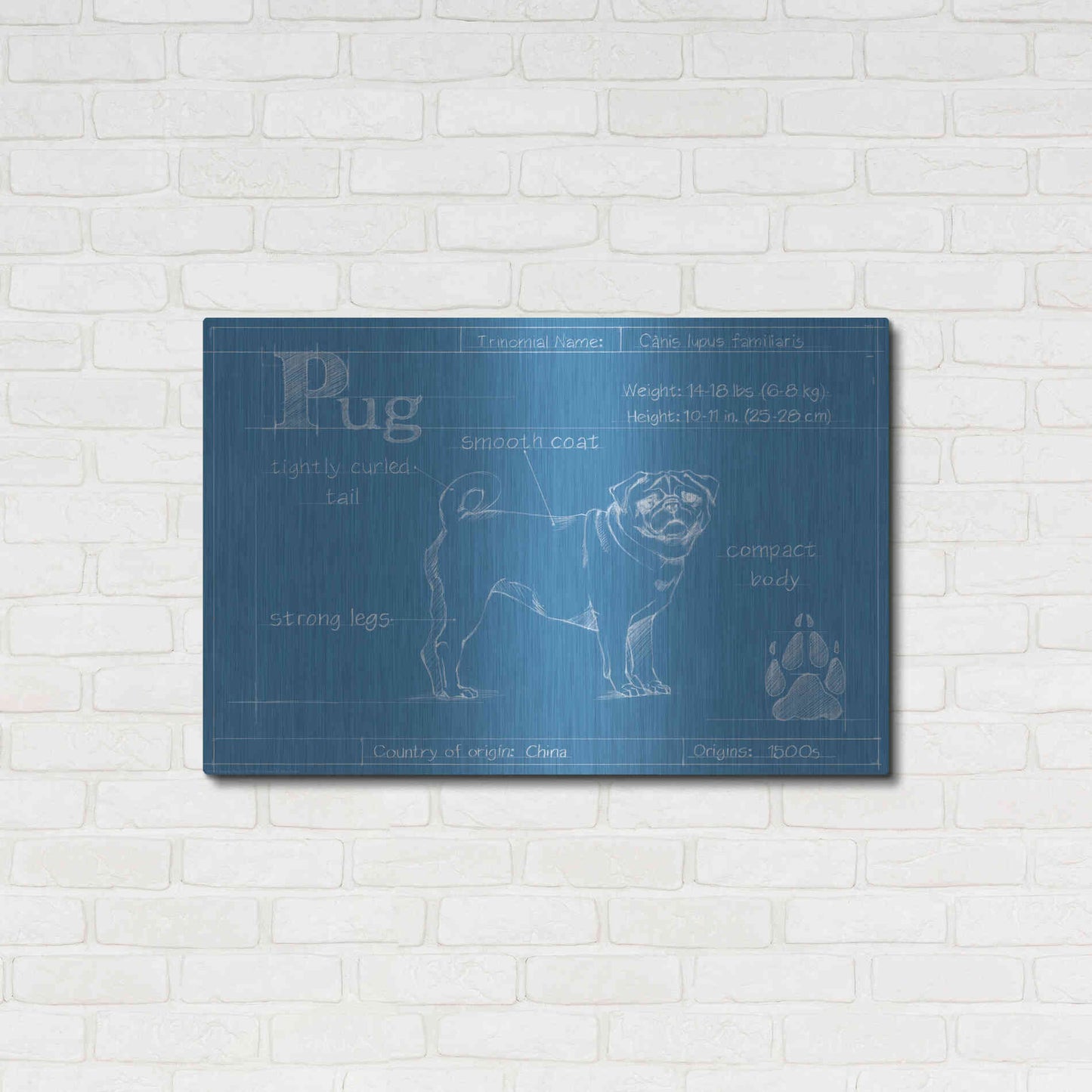 Luxe Metal Art 'Blueprint Pug' by Ethan Harper Metal Wall Art,36x24