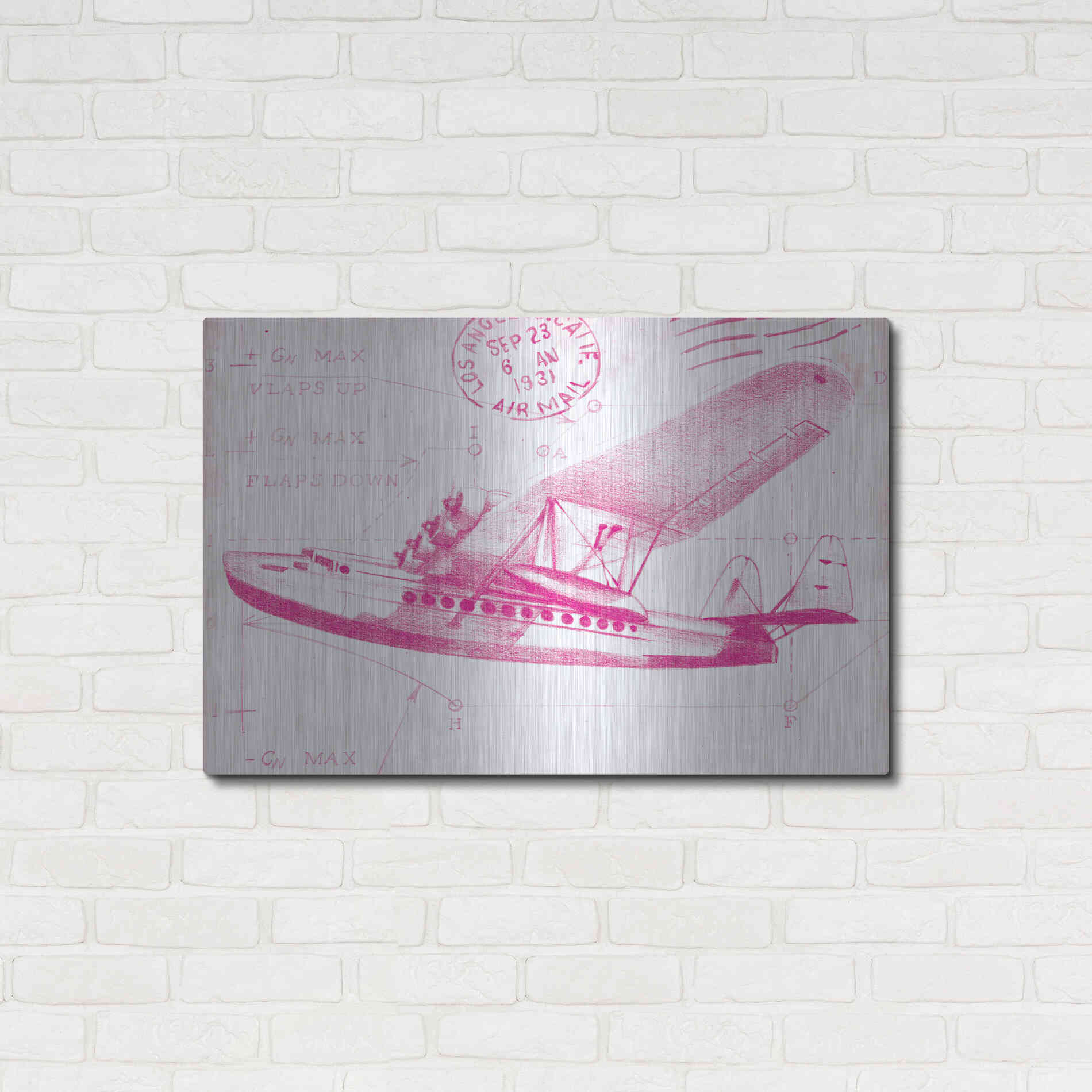 Luxe Metal Art 'Flight Schematic III in Pink' by Ethan Harper Metal Wall Art,36x24