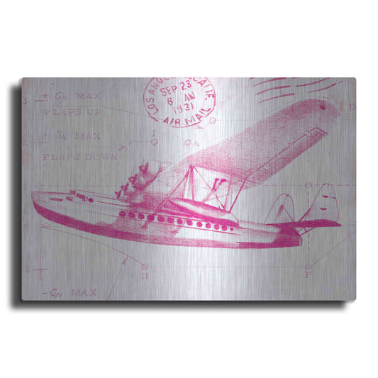 Luxe Metal Art 'Flight Schematic III in Pink' by Ethan Harper Metal Wall Art