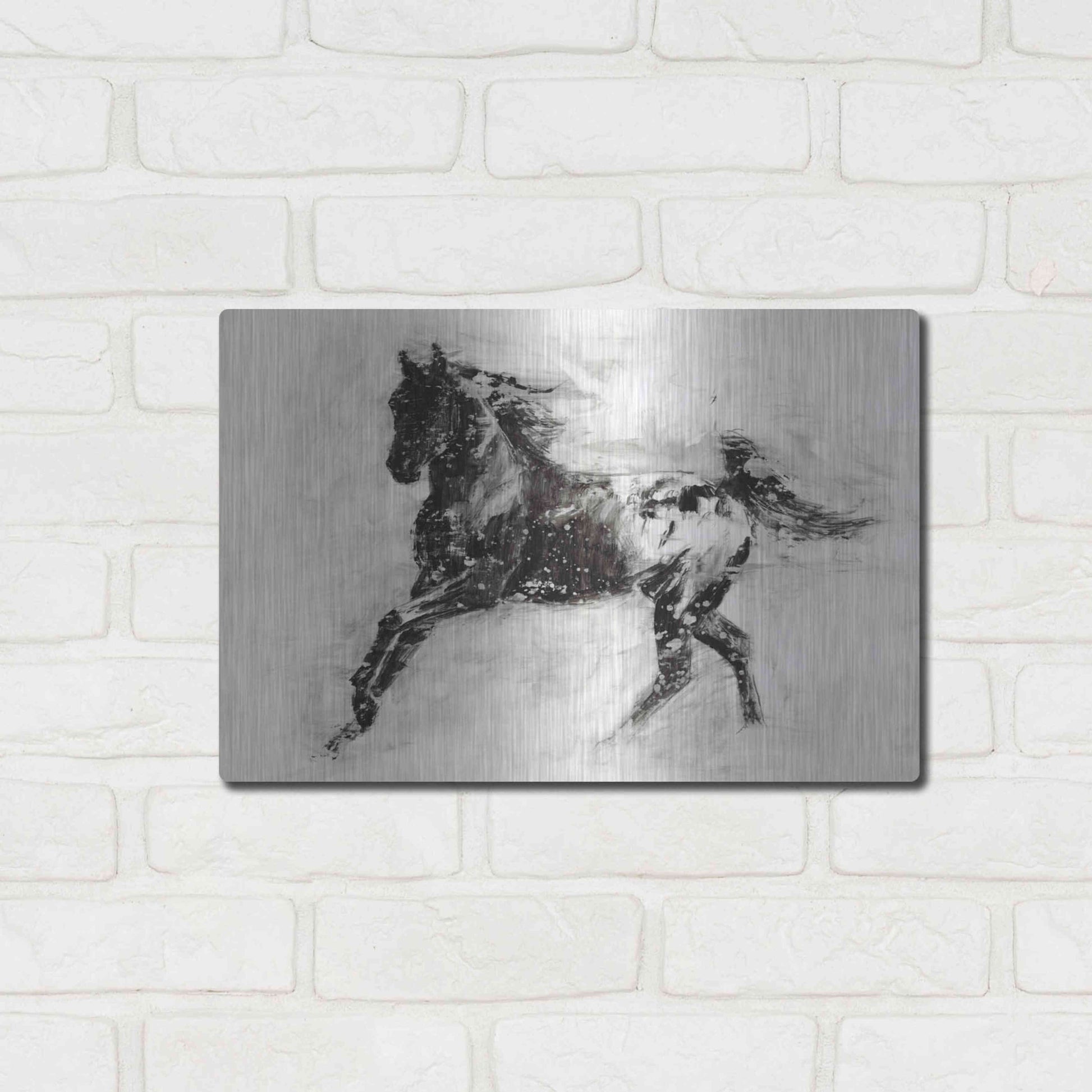 Luxe Metal Art 'Rustic Appaloosa II' by Ethan Harper Metal Wall Art,16x12