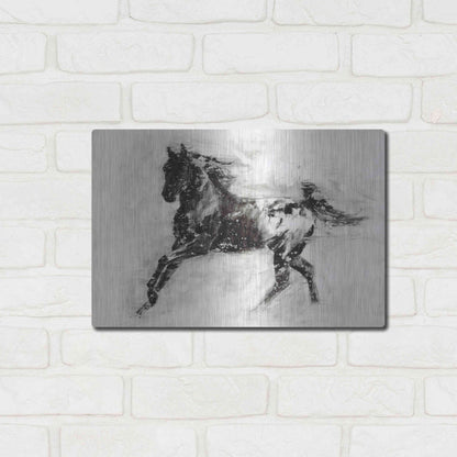 Luxe Metal Art 'Rustic Appaloosa II' by Ethan Harper Metal Wall Art,16x12