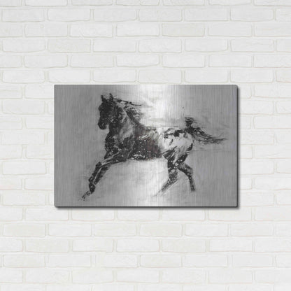 Luxe Metal Art 'Rustic Appaloosa II' by Ethan Harper Metal Wall Art,36x24