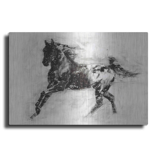 Luxe Metal Art 'Rustic Appaloosa II' by Ethan Harper Metal Wall Art