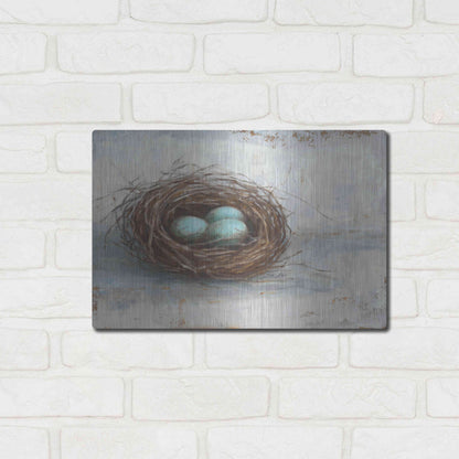 Luxe Metal Art 'Rustic Bird Nest I' by Ethan Harper Metal Wall Art,16x12