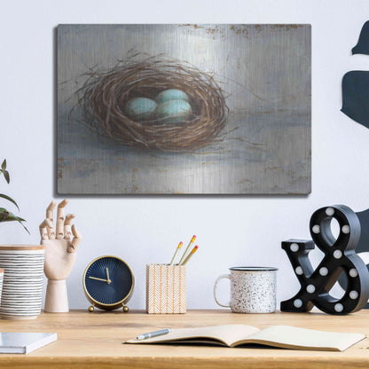 Luxe Metal Art 'Rustic Bird Nest I' by Ethan Harper Metal Wall Art,16x12