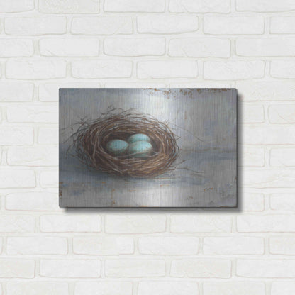 Luxe Metal Art 'Rustic Bird Nest I' by Ethan Harper Metal Wall Art,24x16