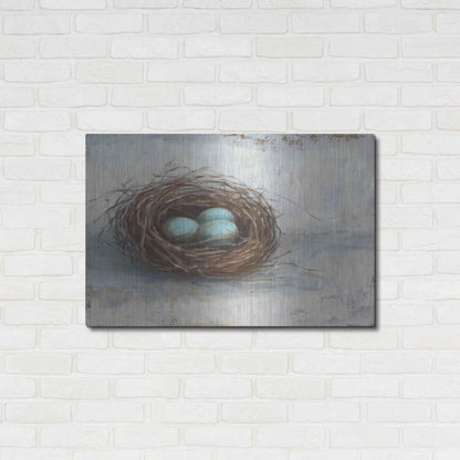 Luxe Metal Art 'Rustic Bird Nest I' by Ethan Harper Metal Wall Art,36x24