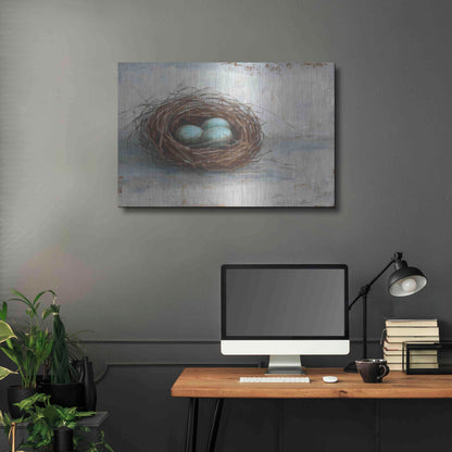 Luxe Metal Art 'Rustic Bird Nest I' by Ethan Harper Metal Wall Art,36x24