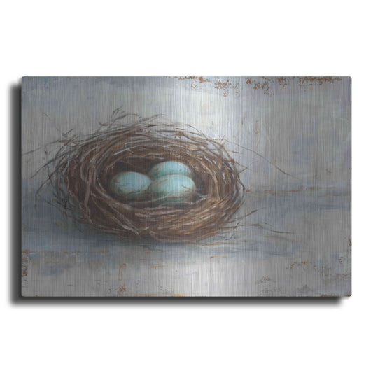 Luxe Metal Art 'Rustic Bird Nest I' by Ethan Harper Metal Wall Art