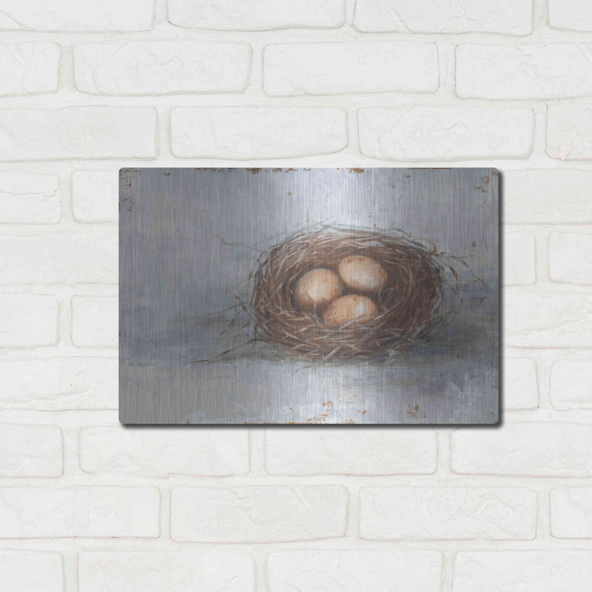 Luxe Metal Art 'Rustic Bird Nest II' by Ethan Harper Metal Wall Art,16x12