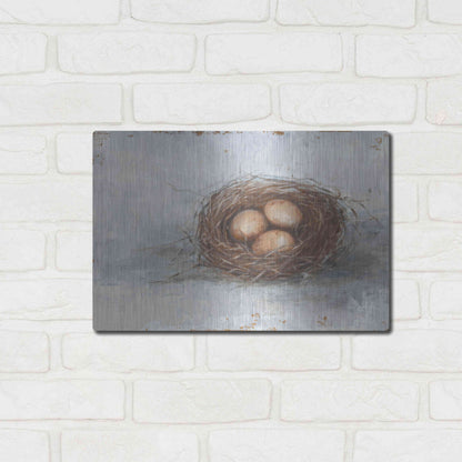 Luxe Metal Art 'Rustic Bird Nest II' by Ethan Harper Metal Wall Art,16x12