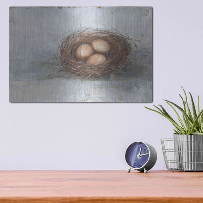 Luxe Metal Art 'Rustic Bird Nest II' by Ethan Harper Metal Wall Art,16x12