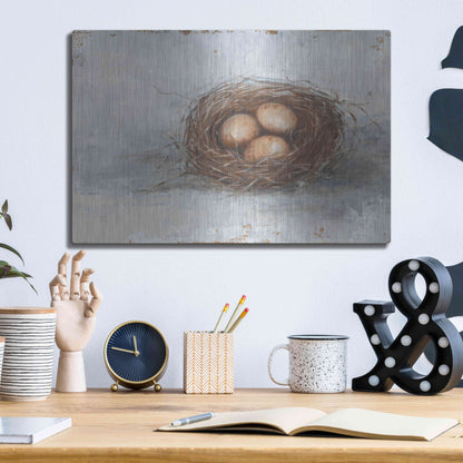 Luxe Metal Art 'Rustic Bird Nest II' by Ethan Harper Metal Wall Art,16x12