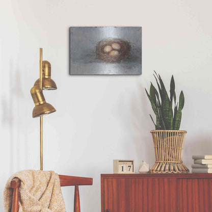 Luxe Metal Art 'Rustic Bird Nest II' by Ethan Harper Metal Wall Art,24x16