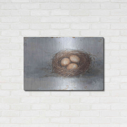Luxe Metal Art 'Rustic Bird Nest II' by Ethan Harper Metal Wall Art,36x24